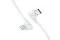 Insta360 Flow 2 Pro USB-C/ Lightning kabel