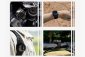 Insta360 - GPS Bluetooth Remote Controller with Wrist Strap (vč Aku)