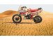 Italeri Yamaha Tenere 660 cc Paris Dakar 1986 (1:9)