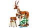 LEGO Creator - Divoká zvířata ze safari