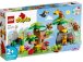 LEGO DUPLO - Divoká zvířata Jižní Ameriky