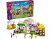 LEGO Friends - Kavárna plná rostlin a květinářství