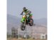 Losi Promoto-MX Motorcycle 1:4 RTR, Pro Circuit