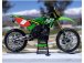 Losi Promoto-MX Motorcycle 1:4 RTR, Pro Circuit