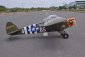 RC letadlo Piper L-4 Grasshopper 1/5 2,29m
