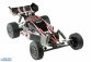 RC auto Buggy Rayline Funrace