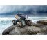 RC auto crawler Sea Crusher