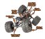 RC auto DF-4 BL Truck 1:8 brushless