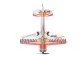 YAK 55 EPP