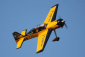 Yak 54 1,6m
