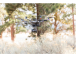 Dron Yuneec Typhoon H Plus s Intel RealSense