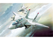 Academy Grumman F-14 Tomcat (1:144)