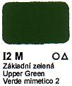 Agama Email I2 M Základní zelená