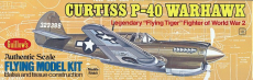 Curtiss P-40 Warhawk (419mm)