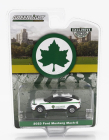 Greenlight Ford usa Mustang Mach-e Nycd Of Parks 2023 1:64 Bílá Zelená