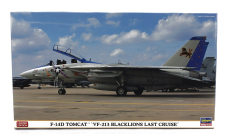 Hasegawa Grumman F-14d Tomcat Vf-213 Blacklions Last Cruise Military Airplane 1974 1:72 /
