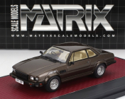 Matrix scale models De tomaso Longchamp Gts/e 1988 1:43 Brown Met