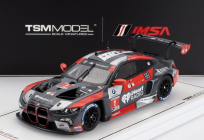 Truescale BMW 4-series M4 Gt3 Team Paul Miller Racing N 1 12h Sebring 2024 Bryan Sellers - Madison Snow - Neil Verhagen 1:43 Šedá Červená