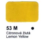 Agama Email 53 M Citronová žlutá