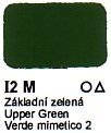 Agama Email I2 M Základní zelená