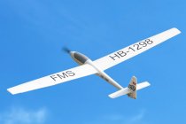 RC letadlo ASW-17 2500mm ARF