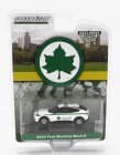 Greenlight Ford usa Mustang Mach-e Nycd Of Parks 2023 1:64 Bílá Zelená