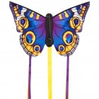 Létající drak Motýl, fialovo-žlutý