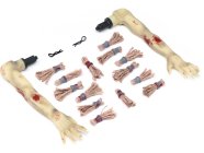 Losi vlasy, ruce: Mini LMT Zombie