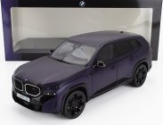 Minichamps BMW X-series Xm M-sport Kith (g09) 2023 1:18 Matt Purple