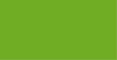 Premium RC - Fluorescentní zelená 60 ml