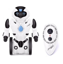 RC robot segway KidBe