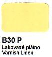 Agama Email B30 P Lakované plátno