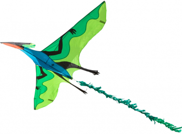 Létající drak Ptakoještěr 3D
