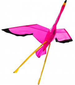 Létající drak Plameňák 3D
