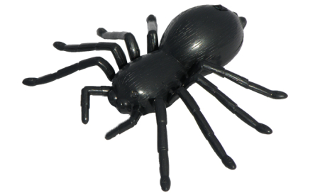 RC pavouk