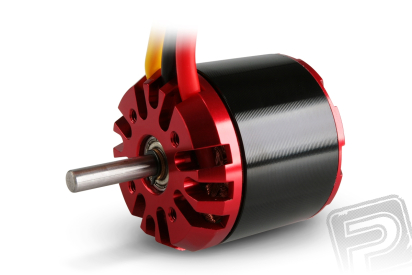 RAY C4250/07 outrunner brushless motor