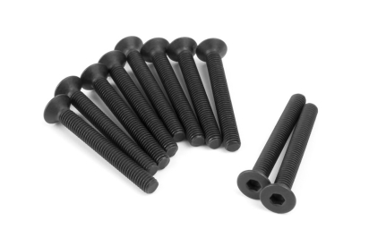 Šroub s polochou hlavou M3x25mm (Hex/10ks)