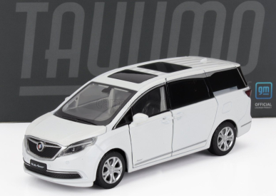Tayumo Buick Gl8 2000 1:32 Bílá
