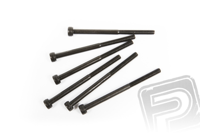 Imbus šroub s válcovou hlavou 3x45mm (6ks.)