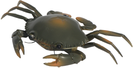 Krab na dálkové ovládání, hnědý