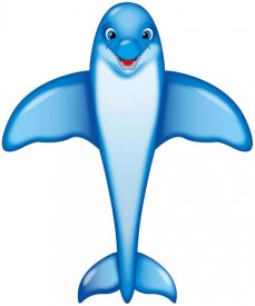 Létající drak Dolphin Kite