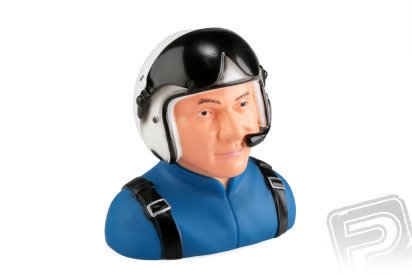 Sbach 342 - pilot