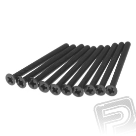 Šroub s zápustnou hlavou 3x40mm (10 ks.)