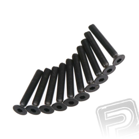 Zápustný šroub 3x20mm (10 ks.)