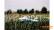 1-01525 FUNCUB NG 1410mm (modrý) stavebnice