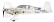 1-02114 Multiplex RR Extra 330 LX 1260mm