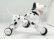 BAZAR - RC Robo-Dog - pes