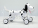 BAZAR - RC Robo-Dog - pes