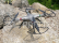 Dron K800B WiFi