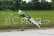 RC letadlo 60
